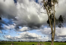 足球规则修订:门将持球超8秒将被罚角球 越位新规测试.