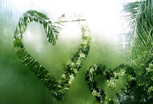 28圈：德甲-凯恩梅开二度 拜仁主场三球完胜斯图加特.